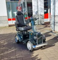 VINTAGE MOBILITY Gatsby (15 km/h) grün - gebraucht VINTAGE MOBILITY Gatsby (15 km/h) grün - gebraucht