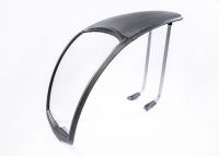 Vorschau: Panoramadach einzeln Vorschau: Panoramadach einzeln