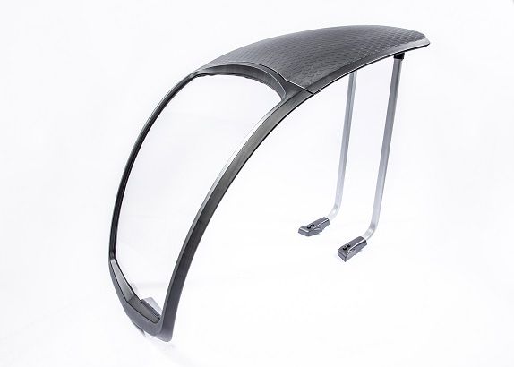 Panoramadach einzeln