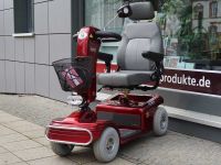 PROFLEX VR 300 (6 km/h) - Gebrauchtes Elektromobil PROFLEX VR 300 (6 km/h) - Gebrauchtes Elektromobil